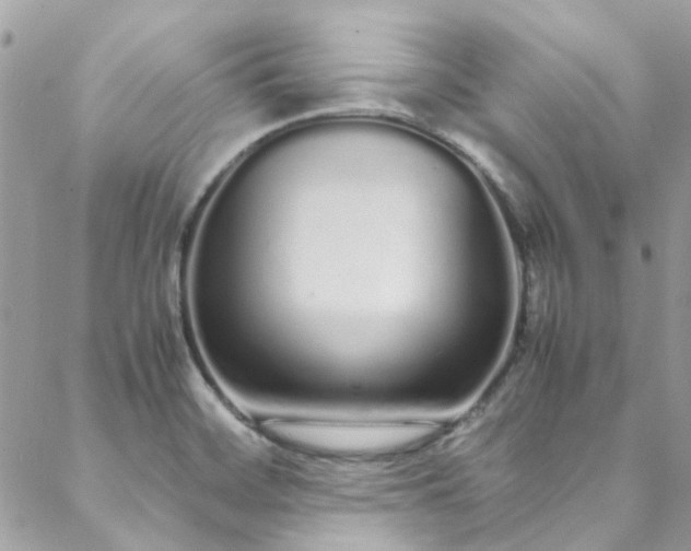 X0000088641468200705251445