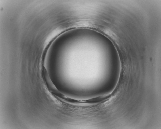 X0000088641469200705251445