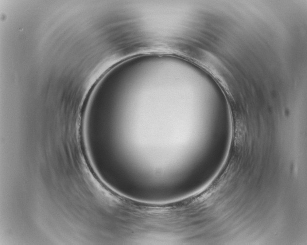 X0000088641484200705251445