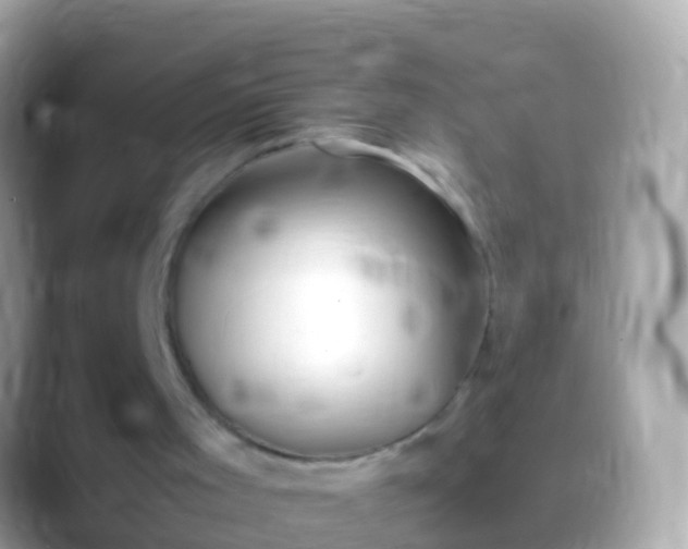 X0000088640001200706011211