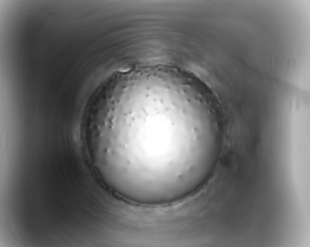 X0000088640002200706011211