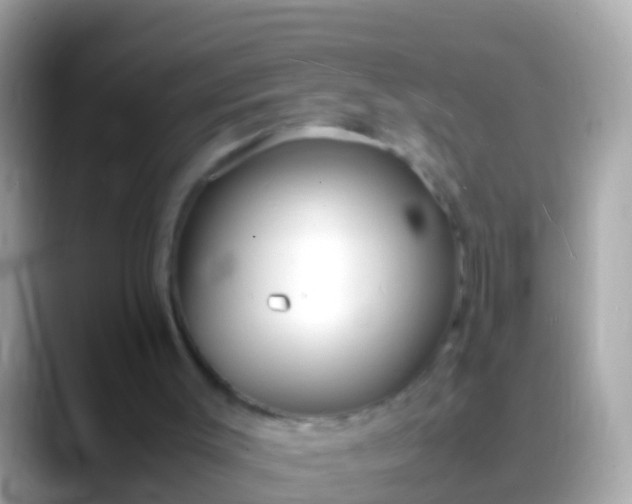 X0000088640003200706011211