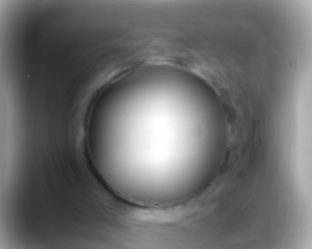 X0000088640005200706011211