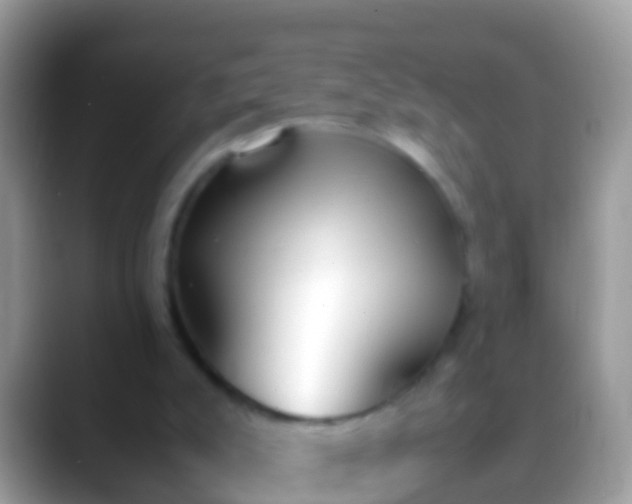 X0000088640007200706011211