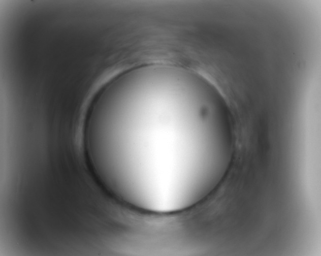 X0000088640008200706011211