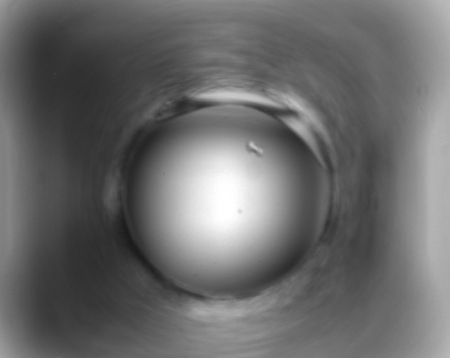 X0000088640009200706011211