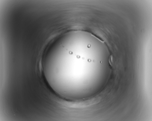X0000088640011200706011211