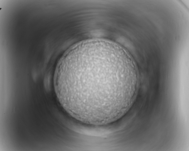 X0000088640012200706011211