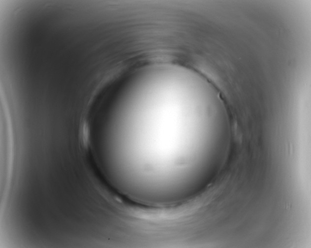 X0000088640013200706011211