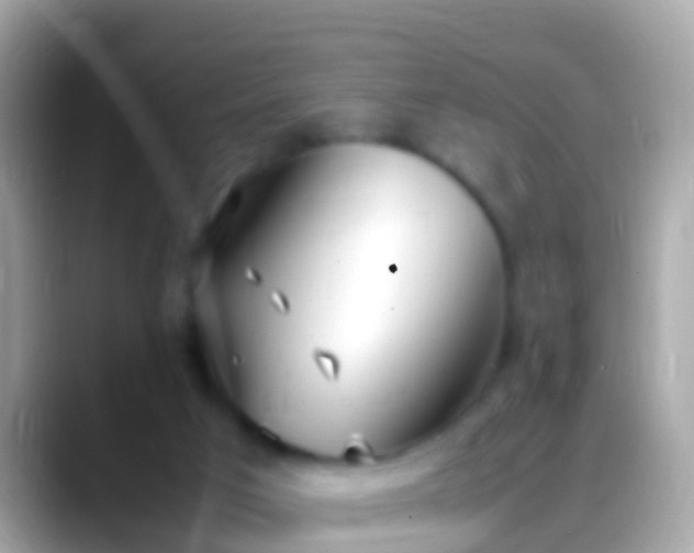 X0000088640017200706011211