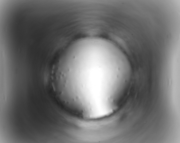 X0000088640018200706011211