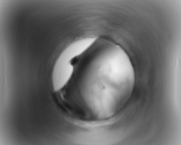 X0000088640019200706011211