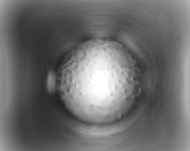 X0000088640022200706011211