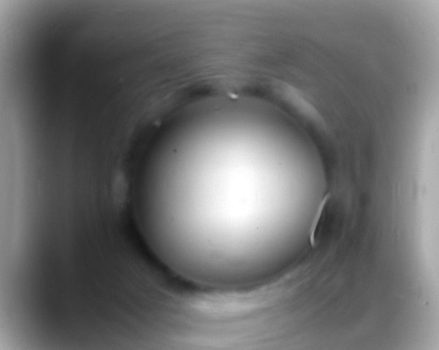 X0000088640025200706011211