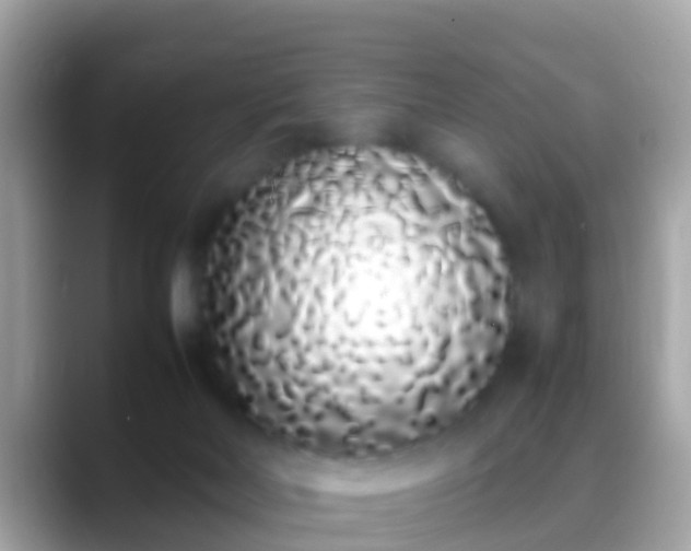 X0000088640026200706011211