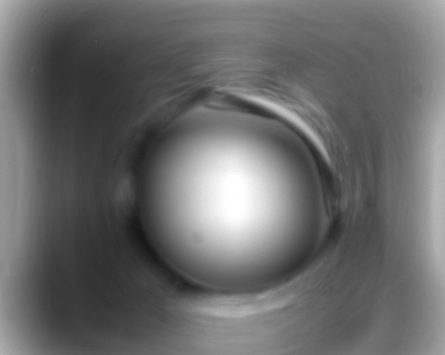 X0000088640029200706011211