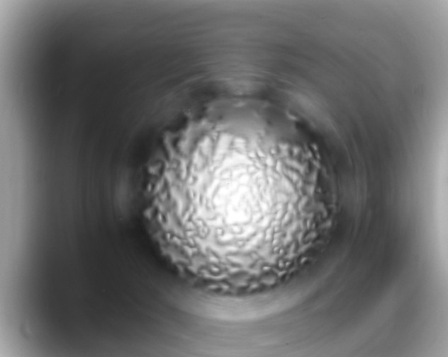 X0000088640030200706011211
