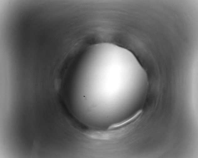 X0000088640033200706011211