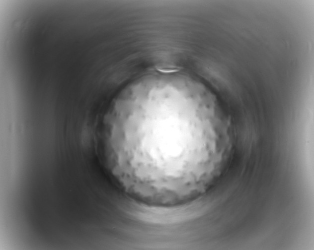 X0000088640034200706011211