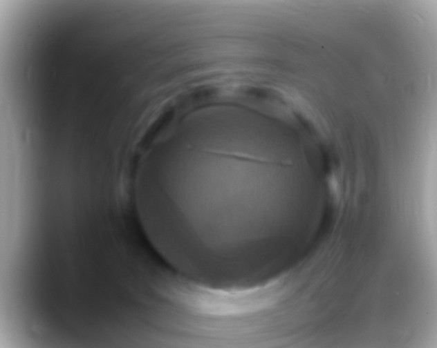 X0000088640035200706011211