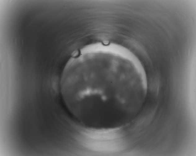 X0000088640036200706011211