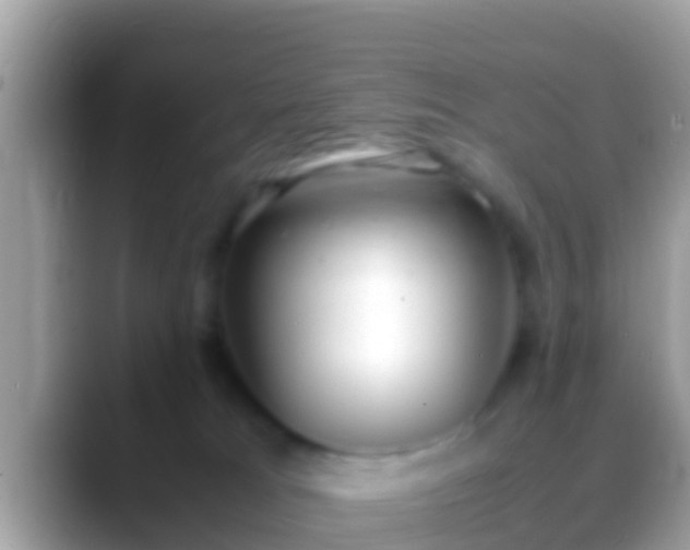 X0000088640037200706011211