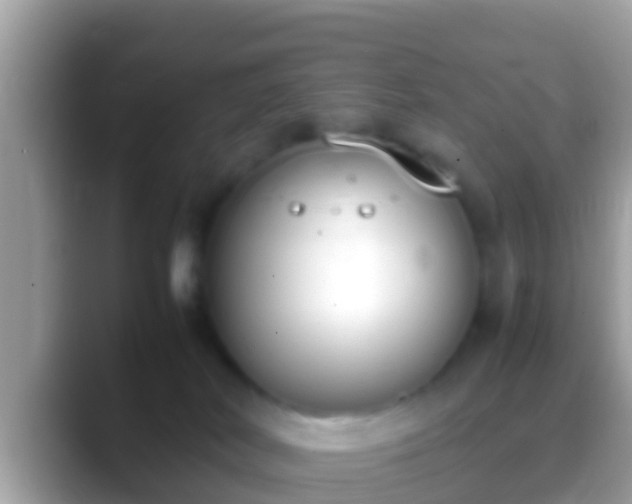 X0000088640038200706011211