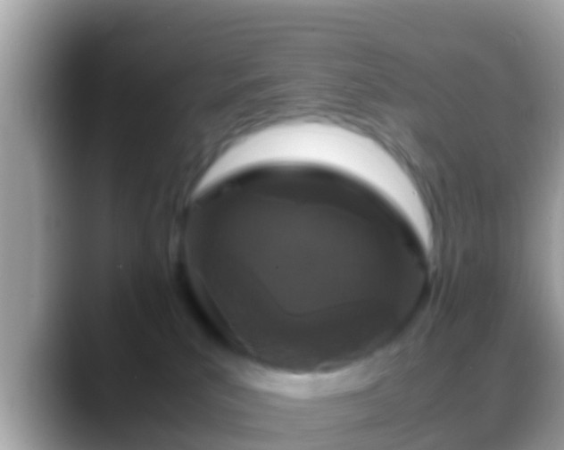 X0000088640039200706011211