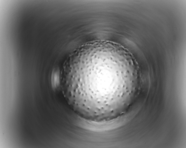 X0000088640046200706011211