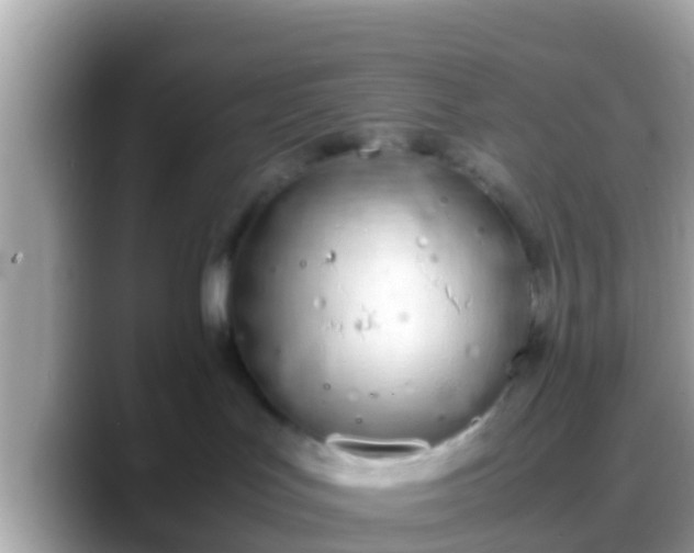X0000088640047200706011211