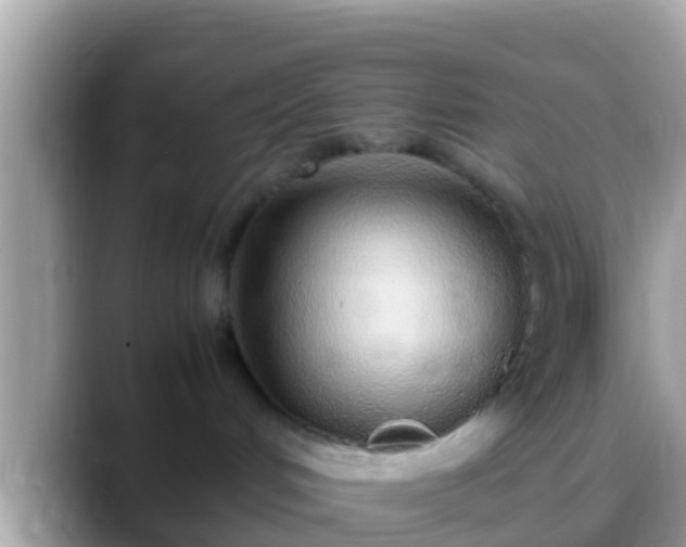 X0000088640048200706011211