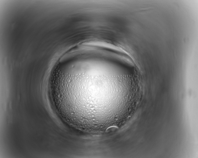 X0000088640049200706011210