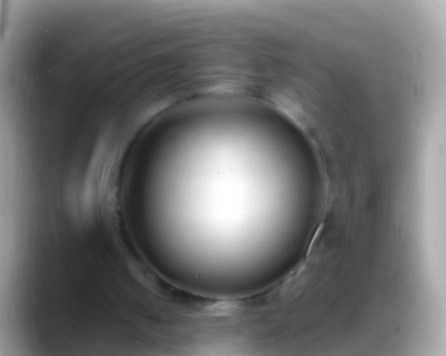 X0000088640050200706011210