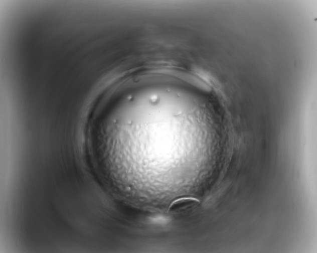 X0000088640053200706011210
