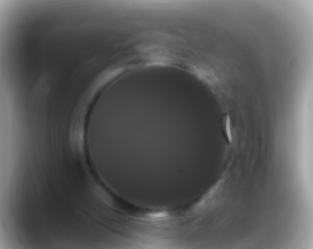 X0000088640054200706011210