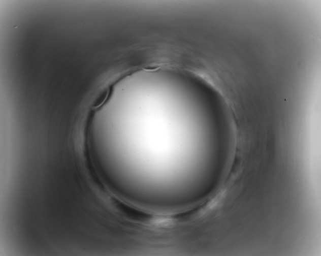 X0000088640055200706011210