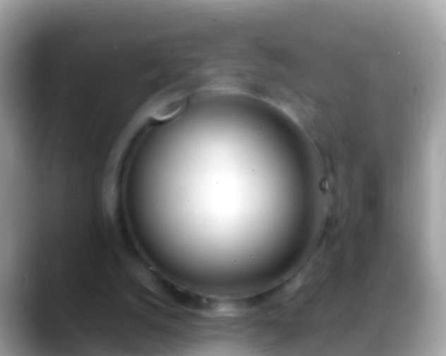 X0000088640056200706011210