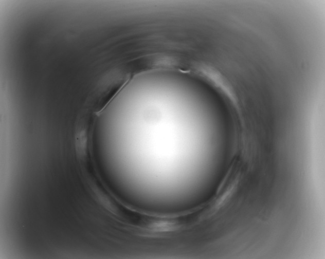 X0000088640057200706011210