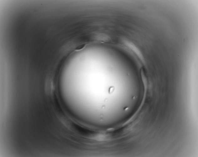 X0000088640059200706011210