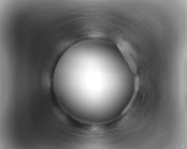 X0000088640060200706011210