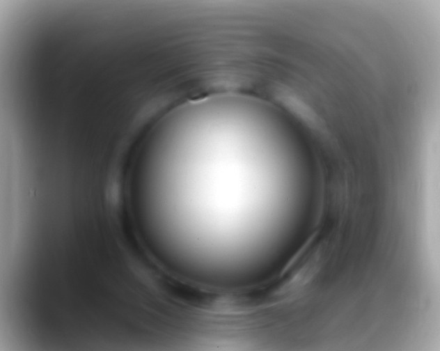 X0000088640064200706011210