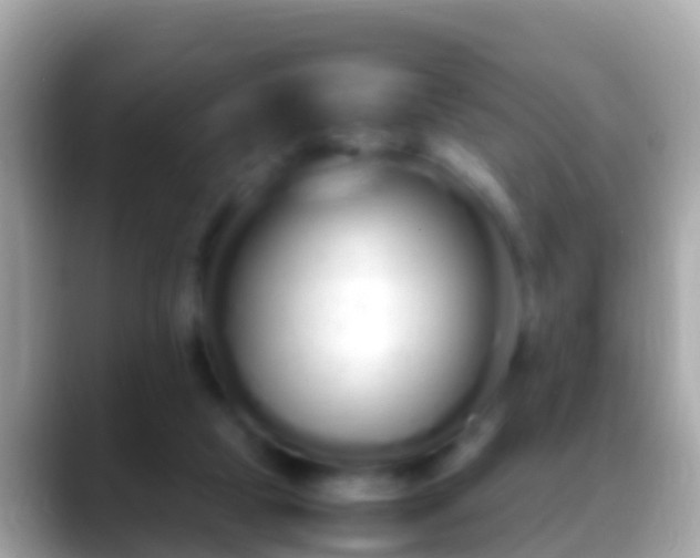 X0000088640065200706011210