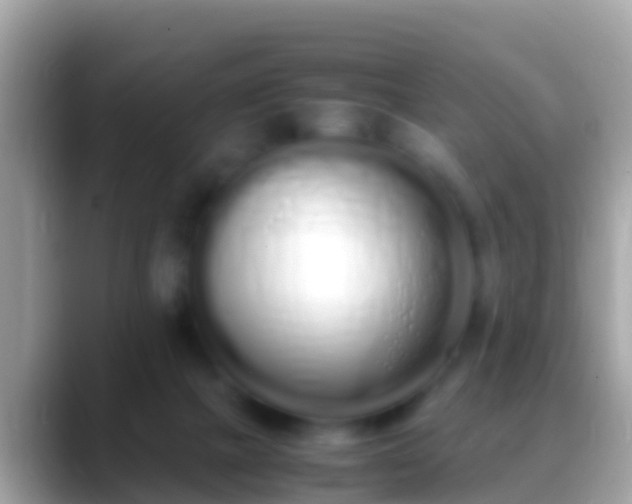 X0000088640073200706011210