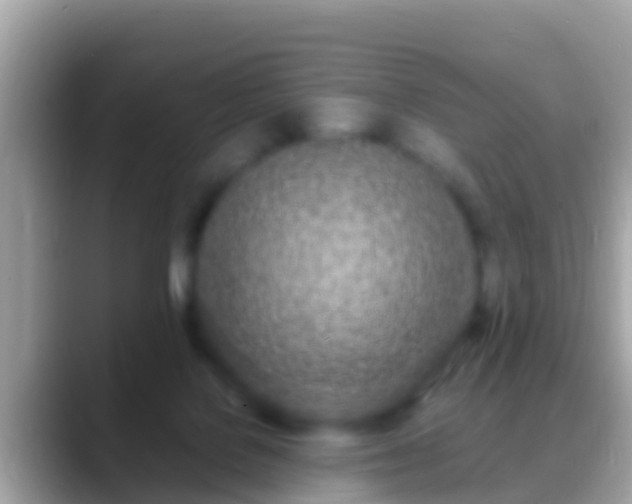 X0000088640076200706011210