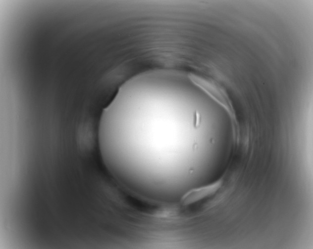 X0000088640080200706011210
