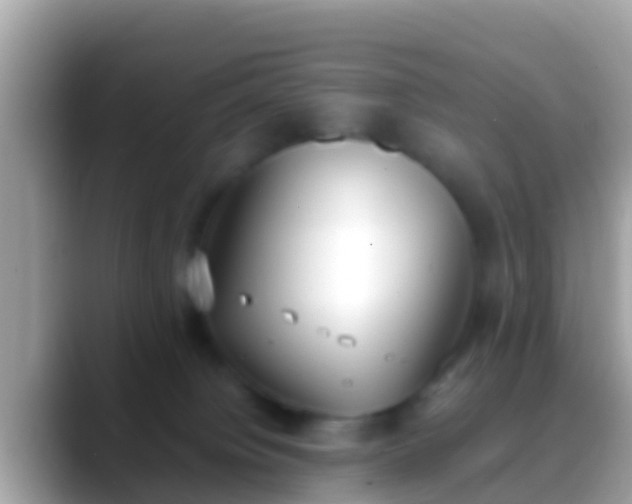X0000088640084200706011210