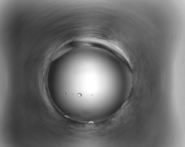 X0000088640097200706011210