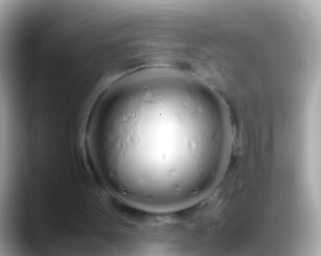 X0000088640099200706011210
