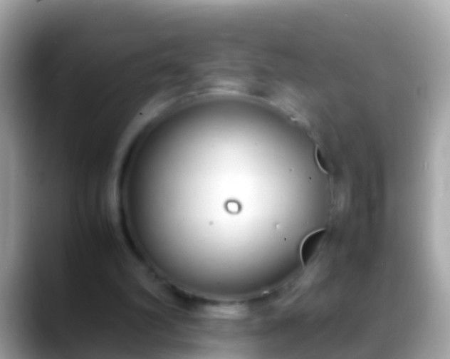 X0000088640102200706011210