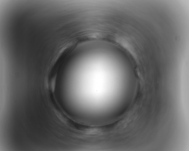 X0000088640105200706011210